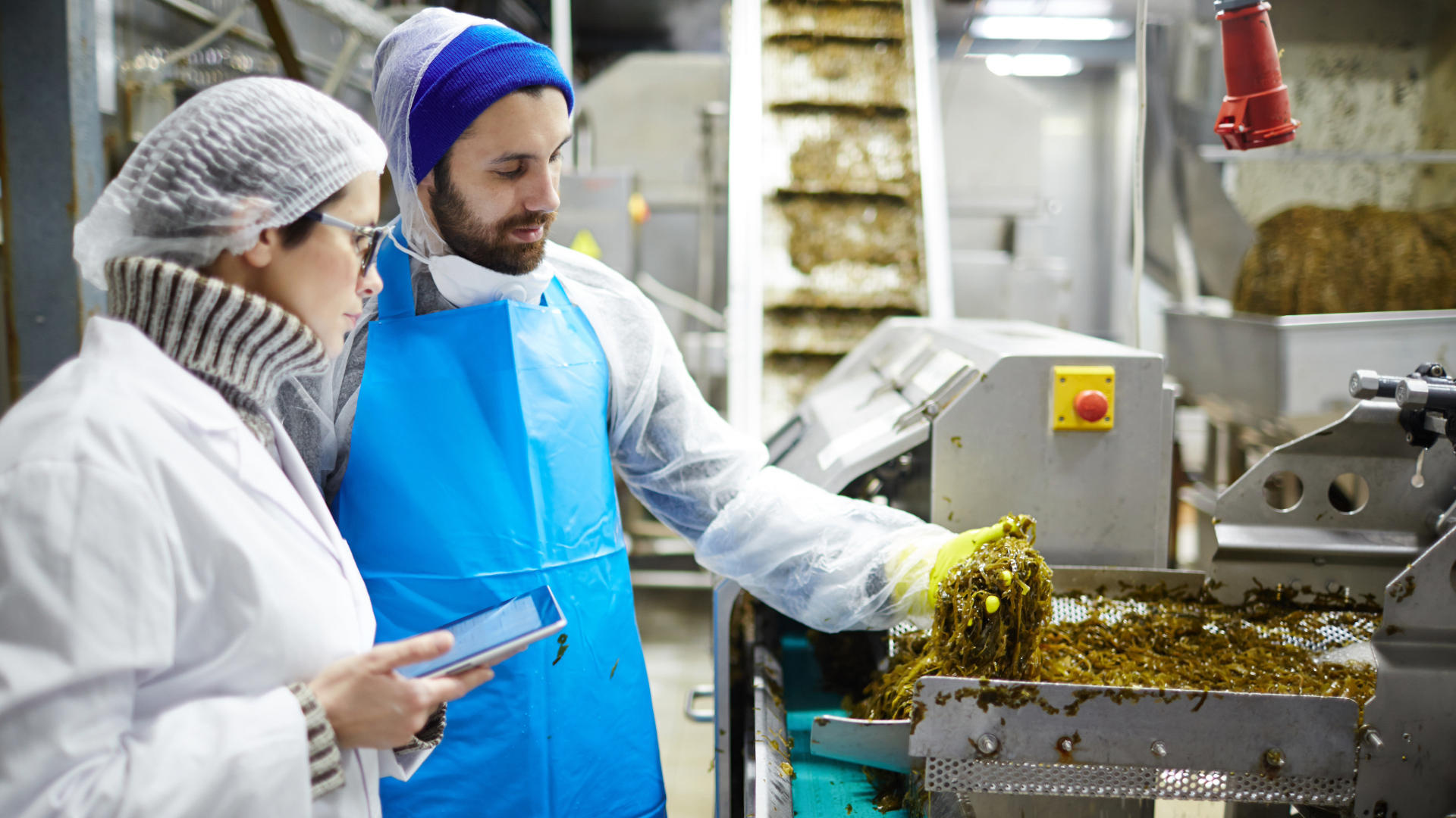 Food Processing Facility Cleaning